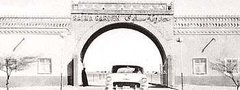 صورة من الماضي