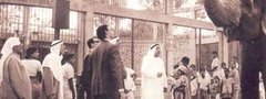 صورة من الماضي